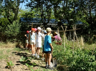 Actividades en la naturaleza